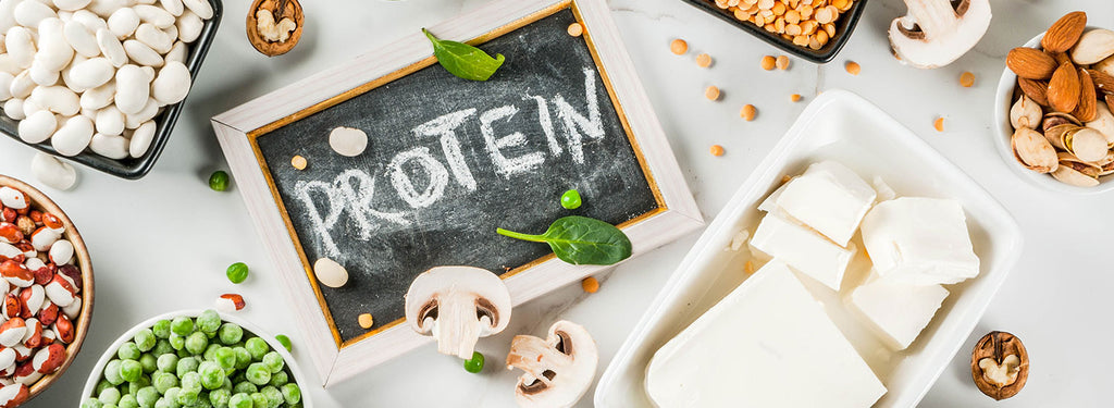 Falsi miti sulle proteine