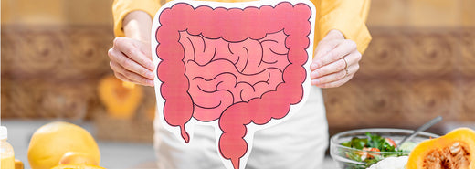 Intestino e fegato: un legame di salute